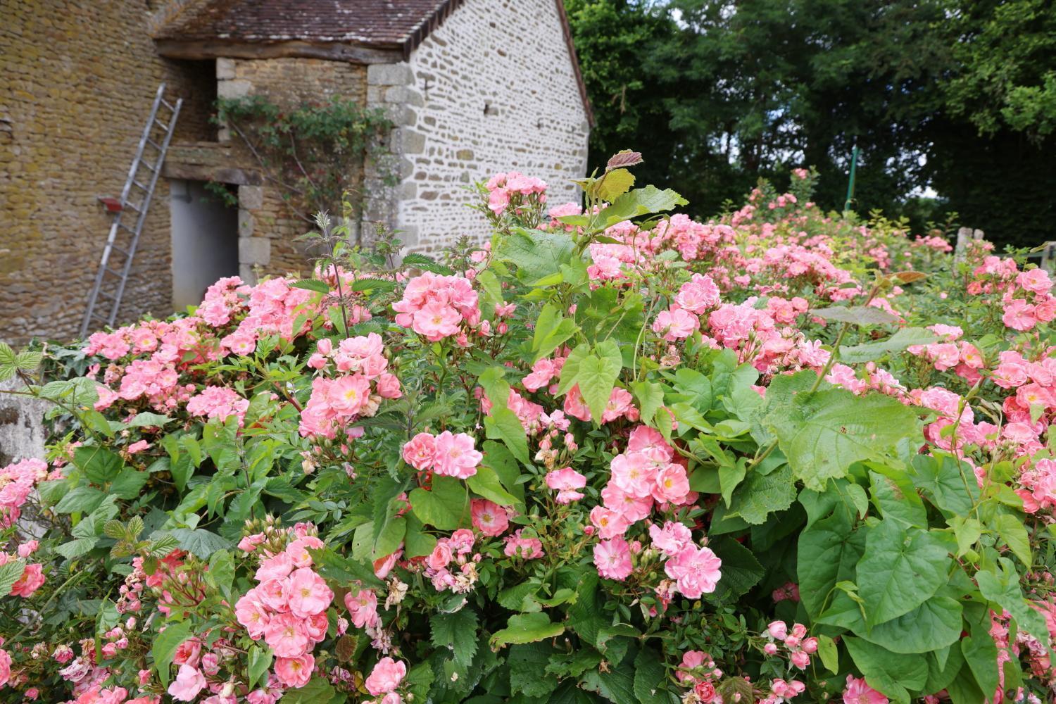 Chambre D'Hote Courtoux Saint-Denis-sur-Sarthon Exterior foto